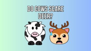 Do Cows Scare Deer