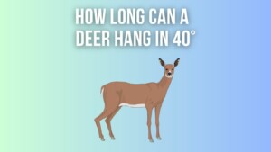 How Long Can A Deer Hang In 40 Degree Weather