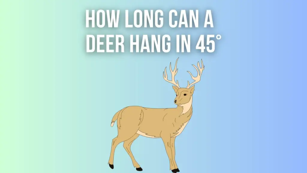 How Long Can Deer Hang In 45 Degrees