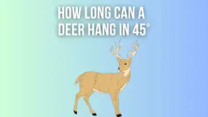 How Long Can Deer Hang In 45 Degrees