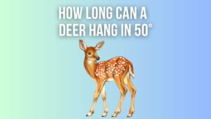 How Long Can A Deer Hang In 50 Degree Weather