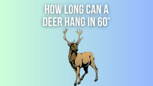 How Long Can Deer Hang In 60 Degrees
