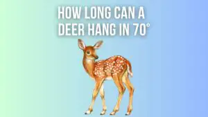 How Long Can A Deer Hang In 70 Degree Weather