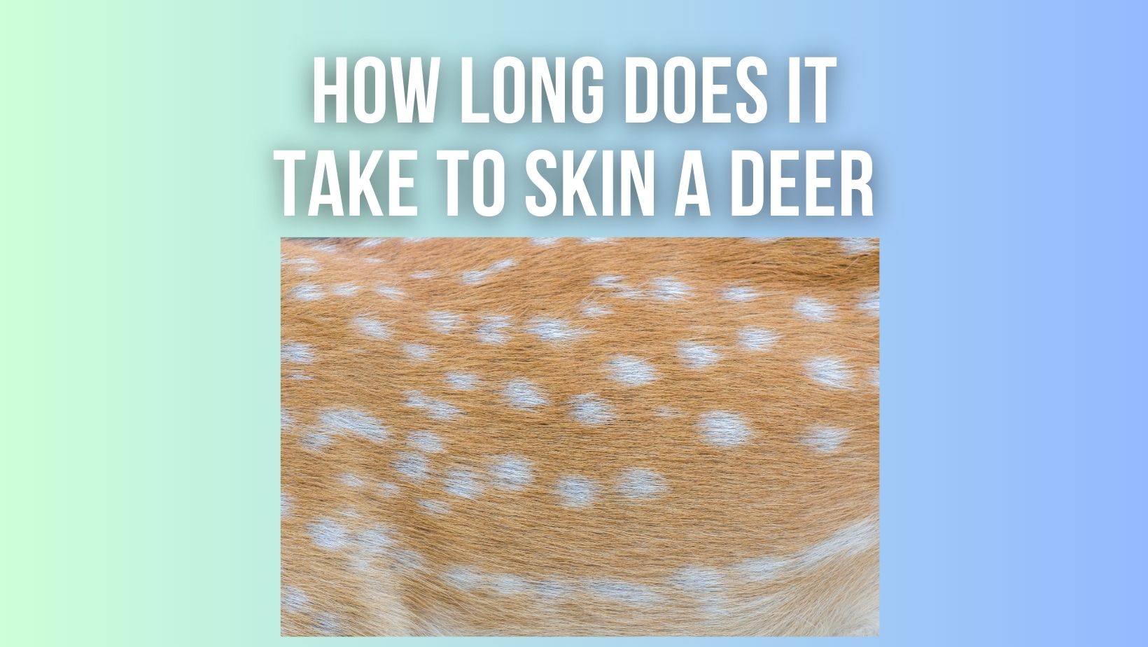 How Long Does It Take To Skin A Deer