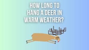How Long To Hang A Deer In Warm Weather