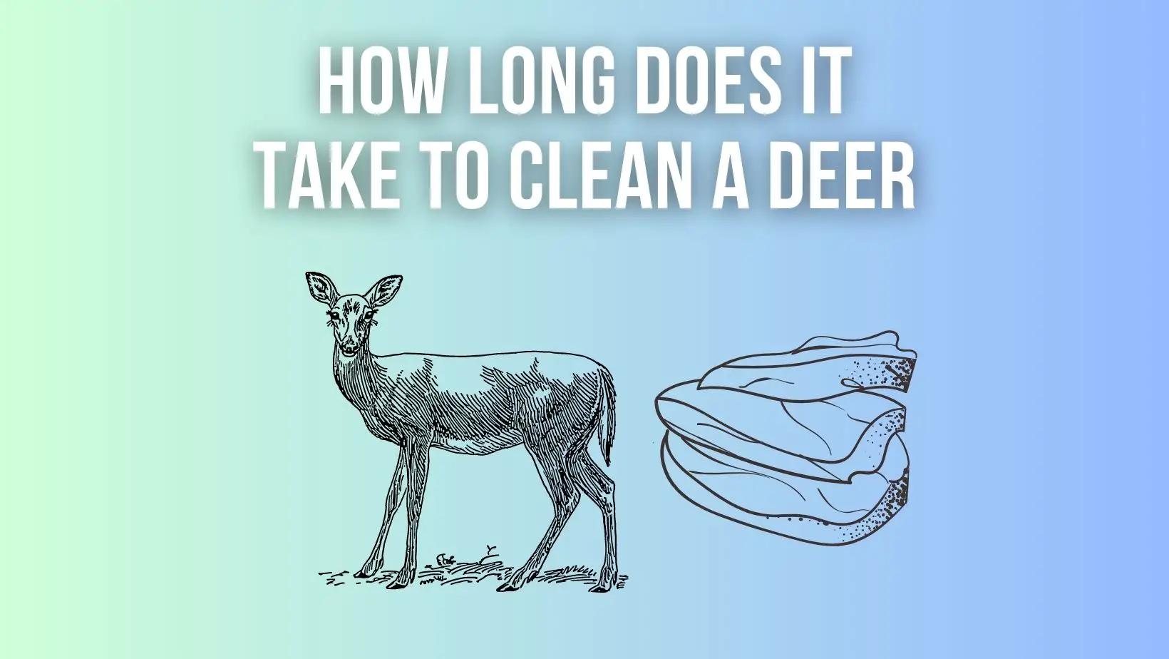 How Long Does It Take To Clean A Deer?