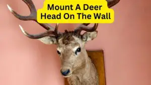 How To Mount A Deer Head On The Wall