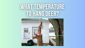 What Temp To Hang Deer