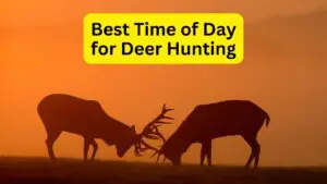 What Time of Day is Best for Deer Hunting