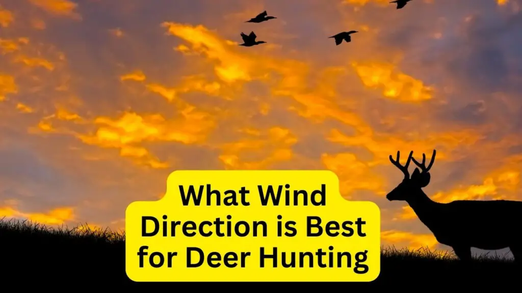 What Wind Direction Is Best For Deer Hunting - Zeke Adventure Blog