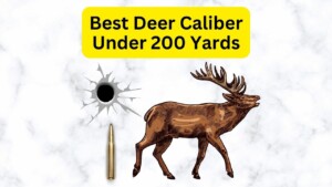 Best Deer Caliber Under 200 Yards