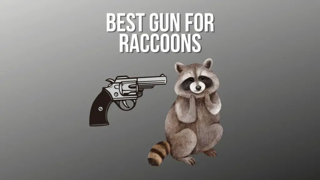 Best Gun for Raccoons