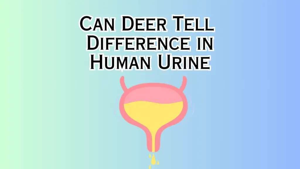 Can Deer Tell the Difference in Human Urine