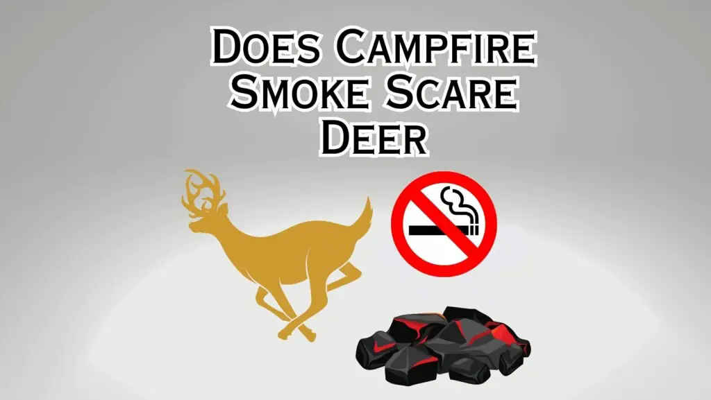 Campfire Smoke Scare Deer