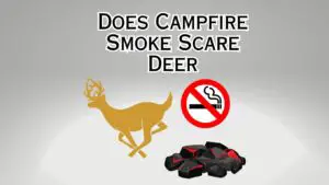 Campfire Smoke Scare Deer