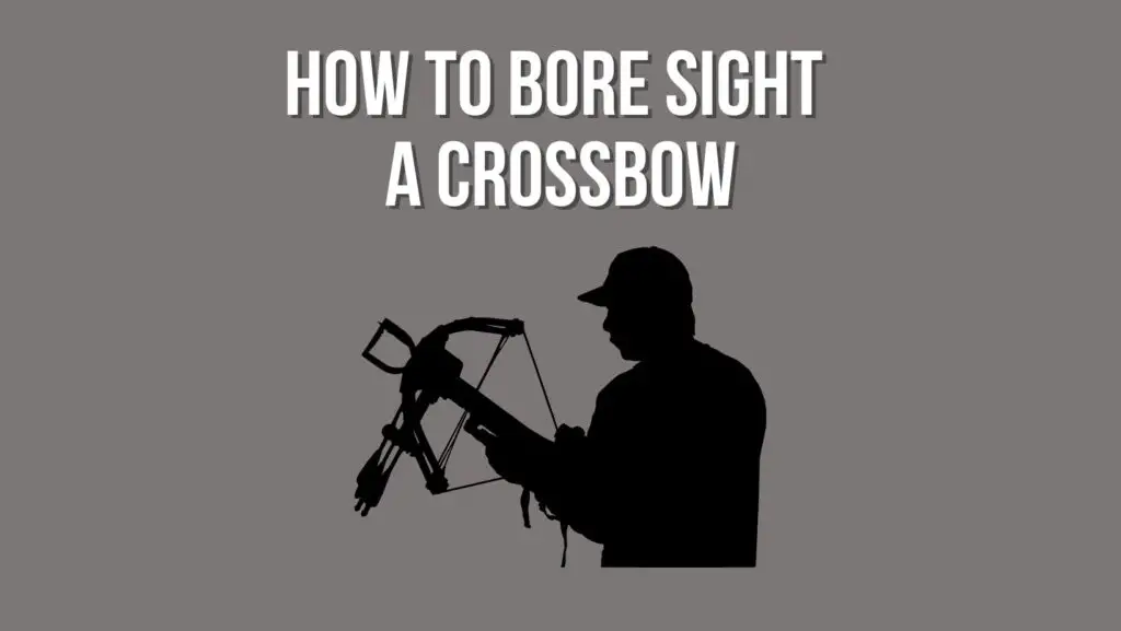 How to Bore Sight a Crossbow