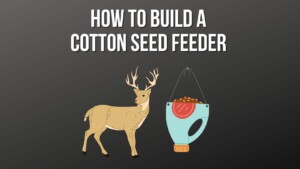 How to Build a Cotton Seed Feeder