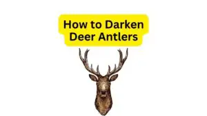 How to Darken Deer Antlers