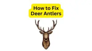 How to Fix Deer Antlers