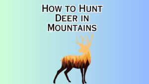 How to Hunt Deer in Mountains