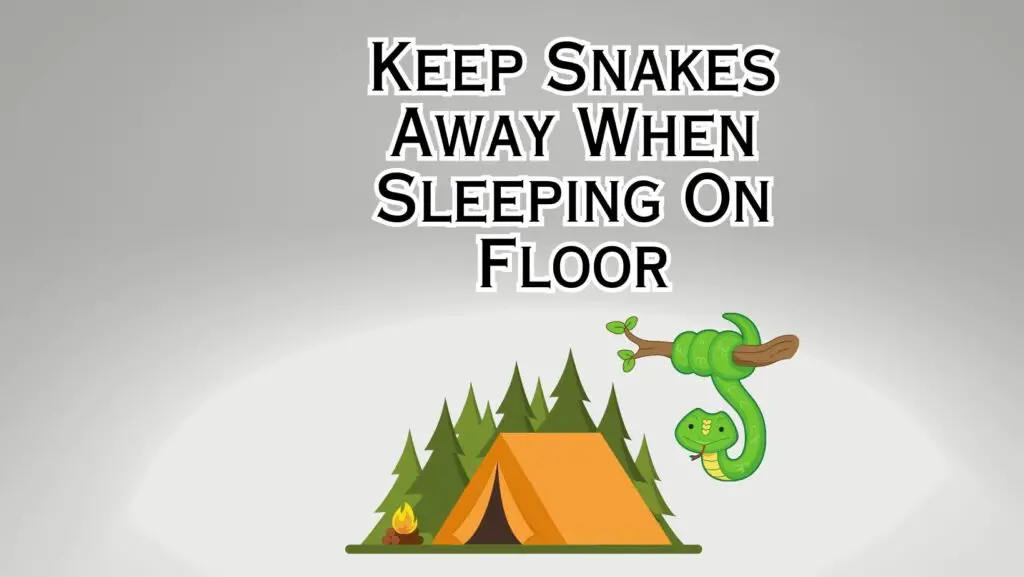 How to Keep Snakes Away When Sleeping on the Ground