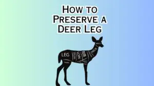 How to Preserve a Deer Leg
