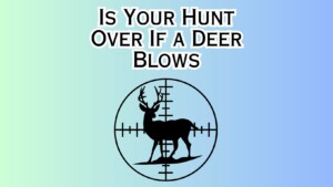 Is Your Hunt Over If a Deer Blows