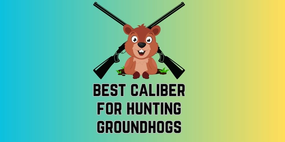 What is the best caliber for hunting groundhogs
