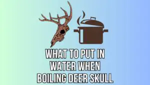 What to Put in Water When Boiling Deer Skull