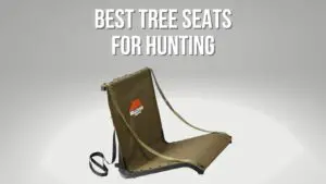 4 Best Tree Seats for Hunting