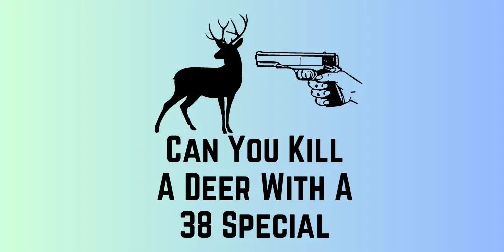 Can You Kill A Deer With A 38 Special