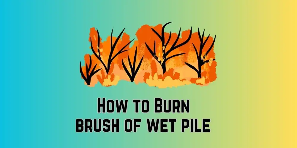 How To Burn A Brush Pile