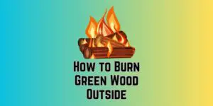 How to Burn Green Wood Outside