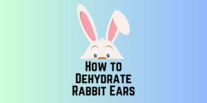 How to Dehydrate Rabbit Ears