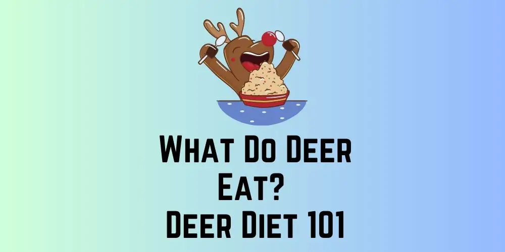 What Do Deer Eat Deer Diet 101