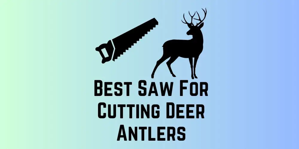 Best Saw For Cutting Deer Antlers