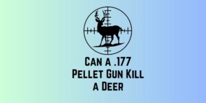 Pellet Gun Kill a Deer