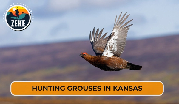 Hunting Grouses in Kansas