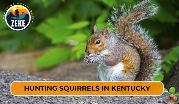 Hunting Squirrels in Kentucky