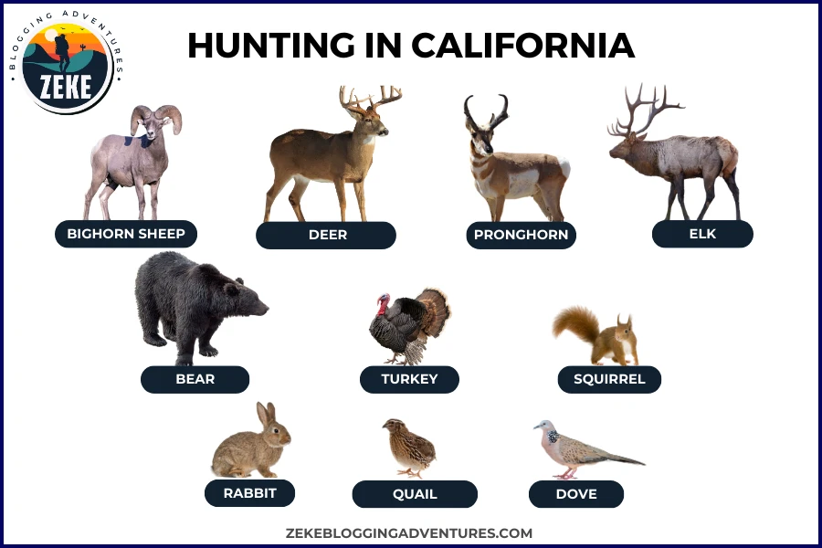 Hunting in California