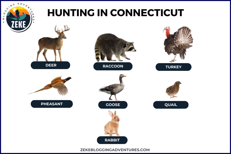 Hunting in Connecticut