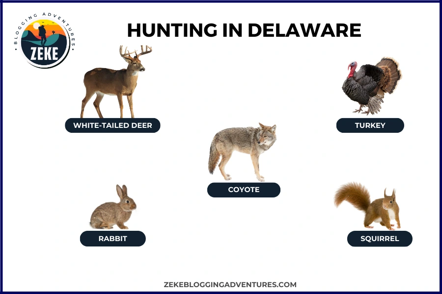 Hunting in Delaware