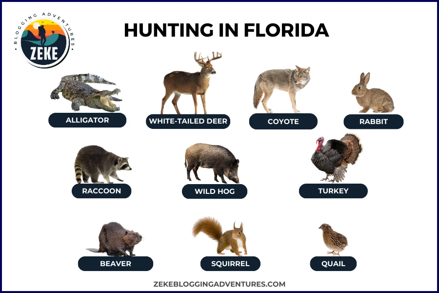 Hunting in Florida