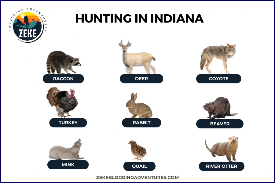 Hunting in Indiana