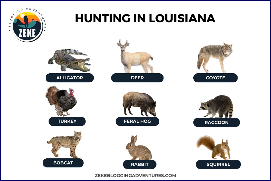 Hunting in Louisiana
