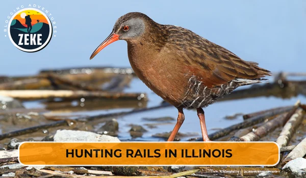 Hunting rails in Illinois