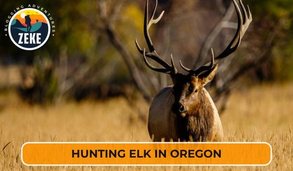 Hunting Elk in Oregon
