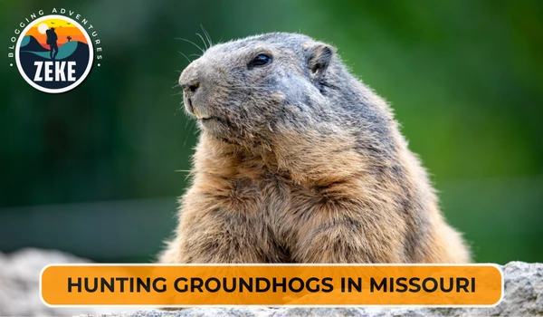 Hunting Groundhogs in Missouri