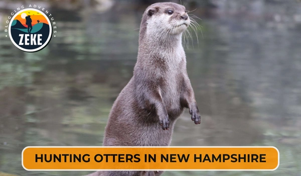Hunting Otters in New Hampshire