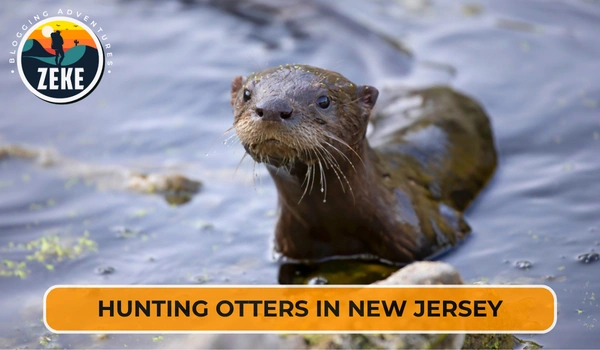 Hunting Otters in New Jersey